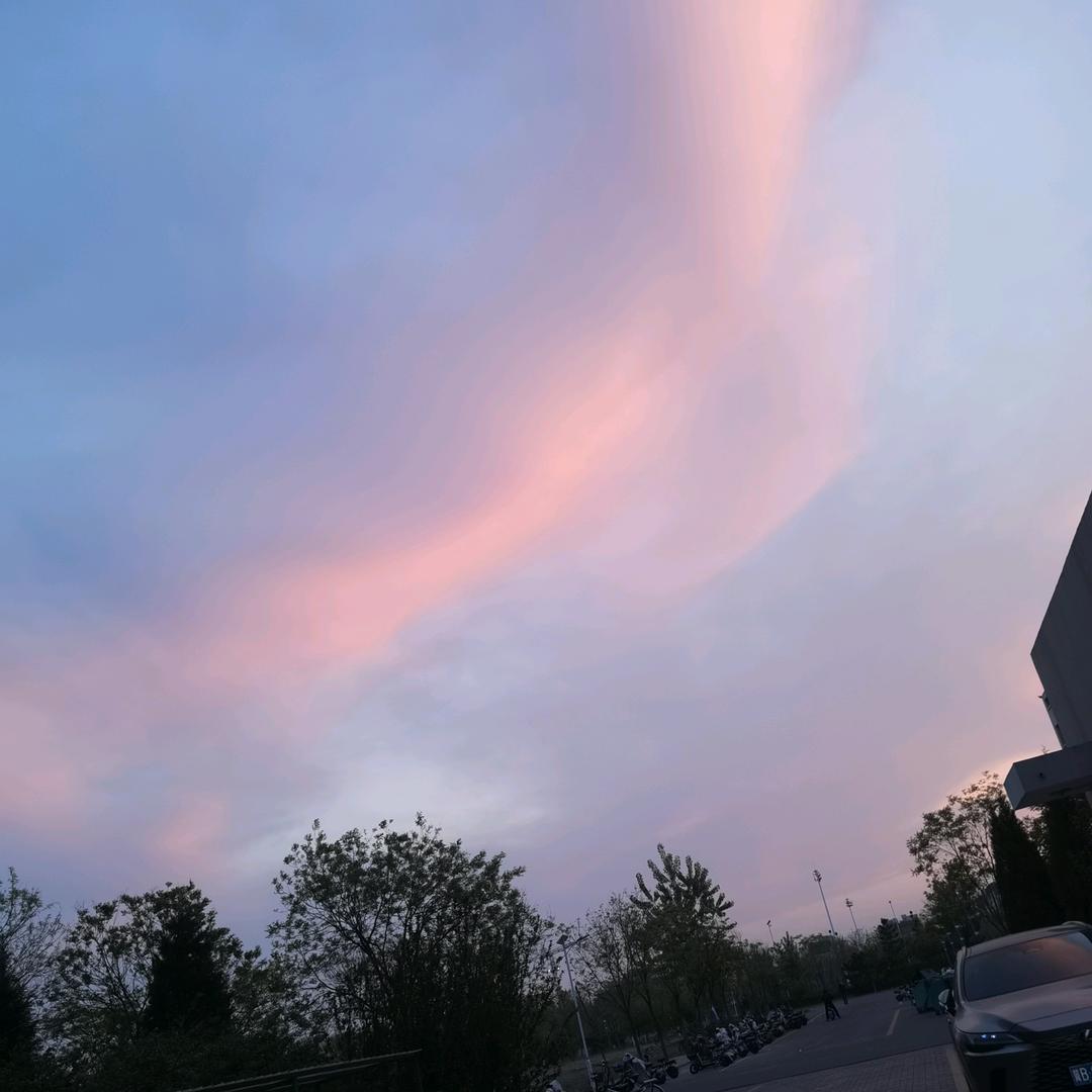 是脆脆鲨不是锤锤鲨