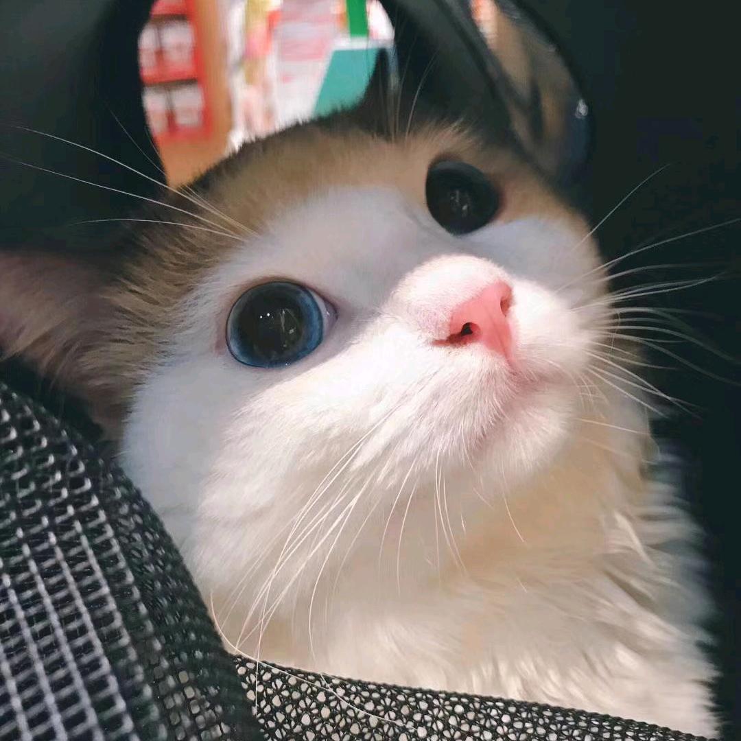 一切安好(✪▽✪)