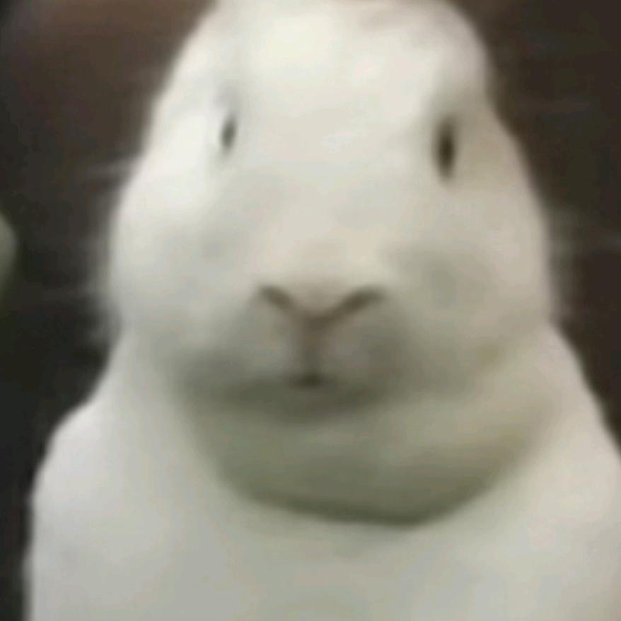 给我5毛买个窝窝