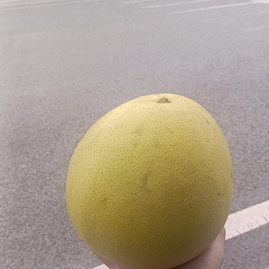 归途(三角洲行动）