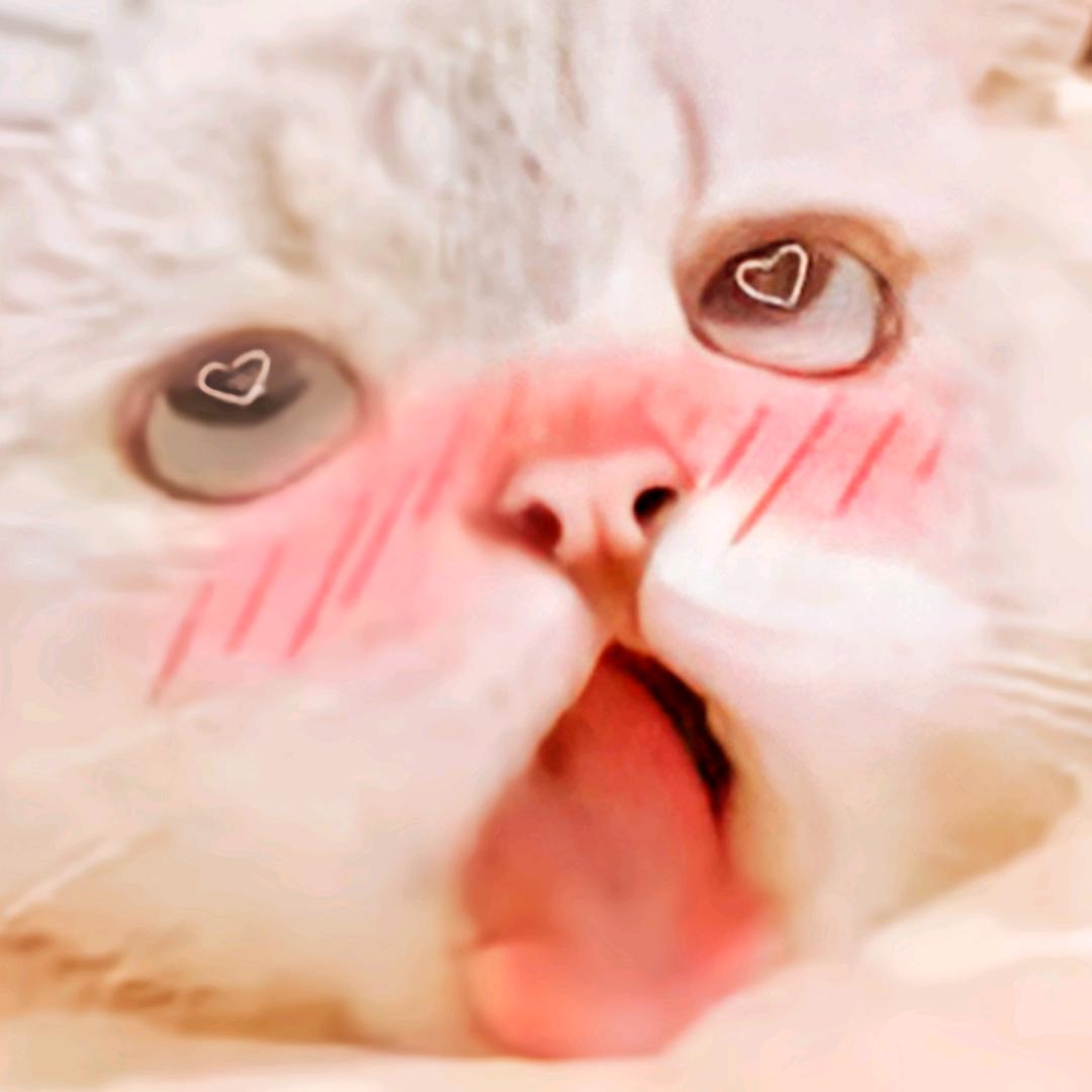 尘埃ing