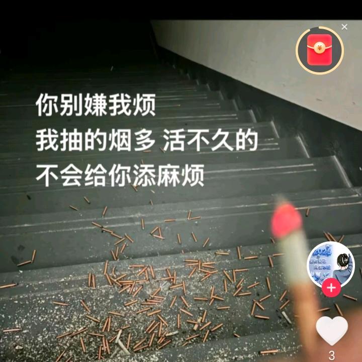 小猫在那