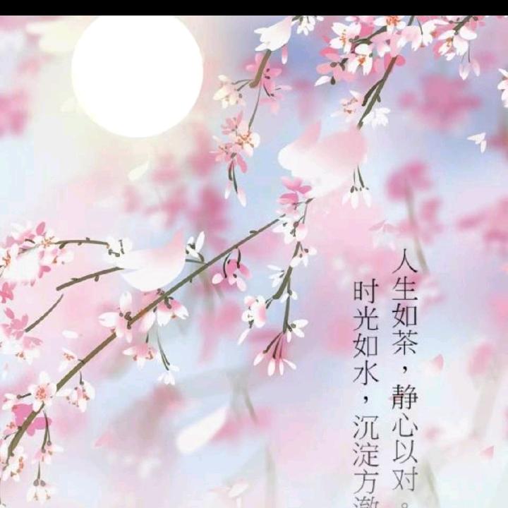 月(｡･ω･｡)ﾉ♡（半纸相思半随缘）