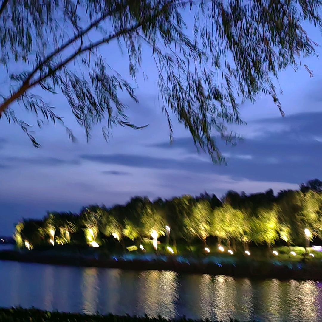 我的梦想成真