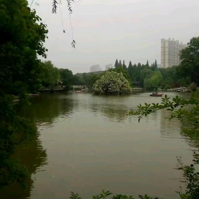 给姐姐看看回家