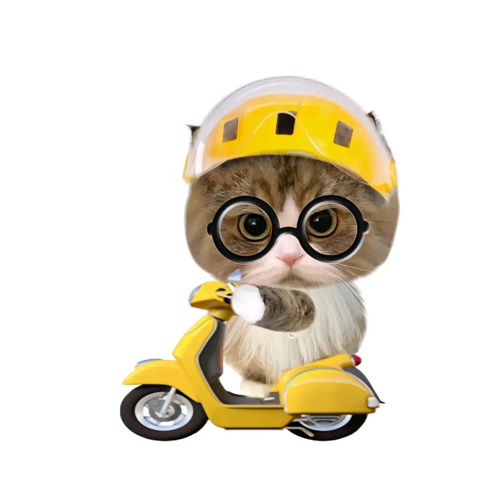 郁闷的米色盖浇饭