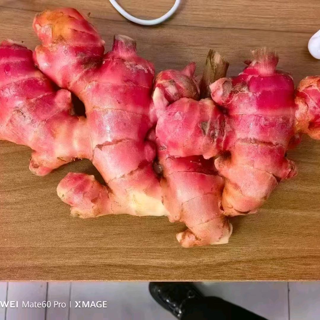 枾徊
