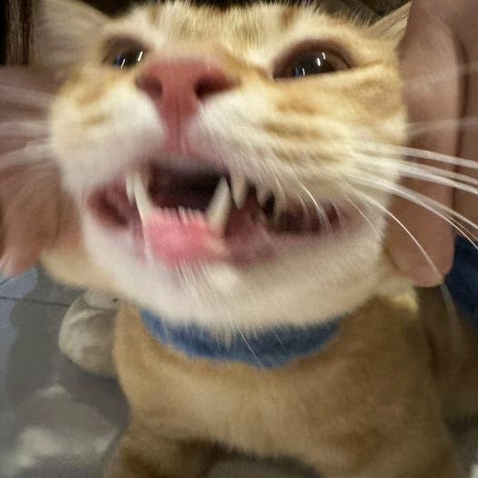 板凳没有坐