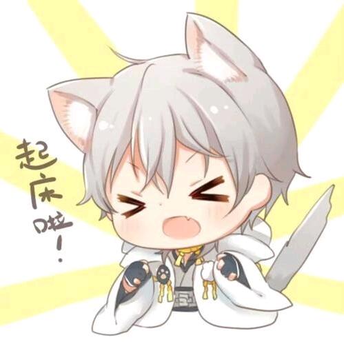 小琪先森
