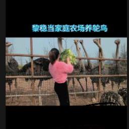 黎稳当家庭农场