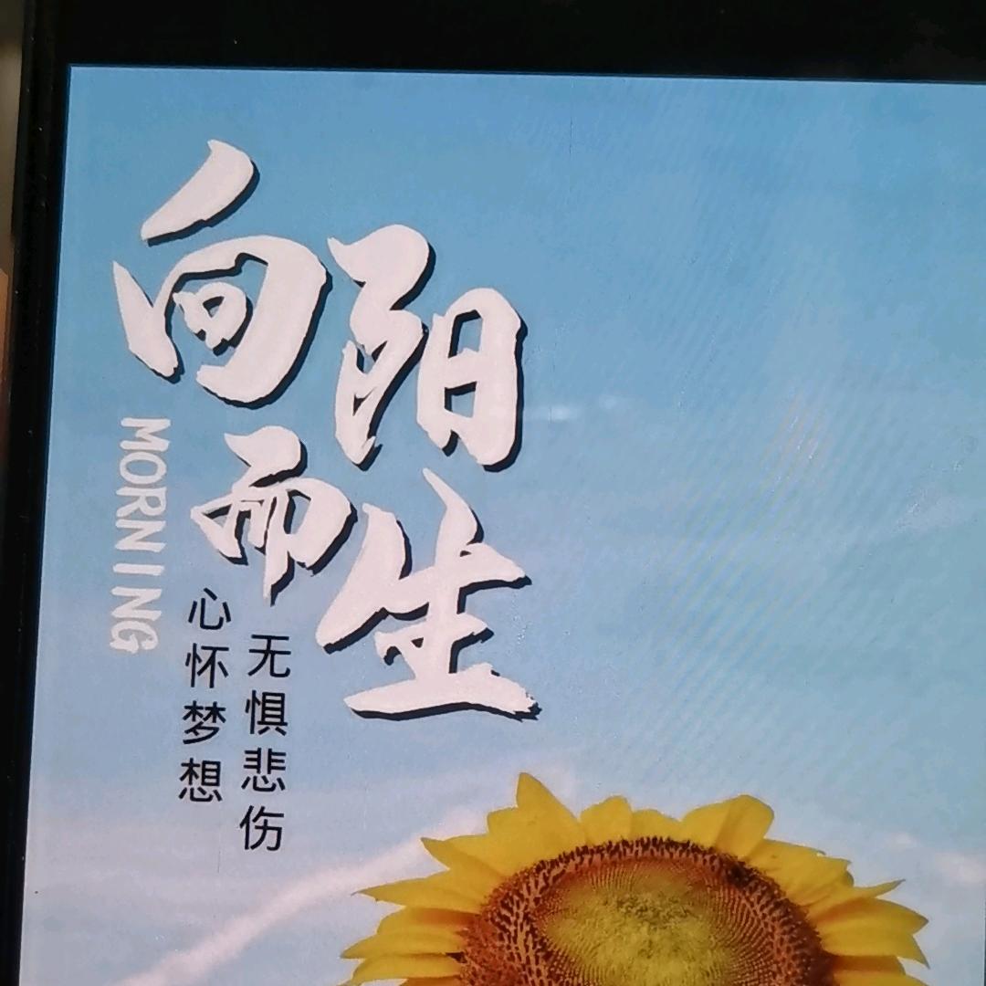 淘淘带你吃喝玩乐