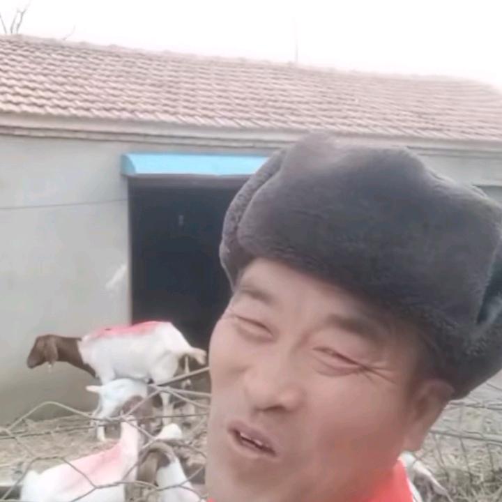 王灯峰