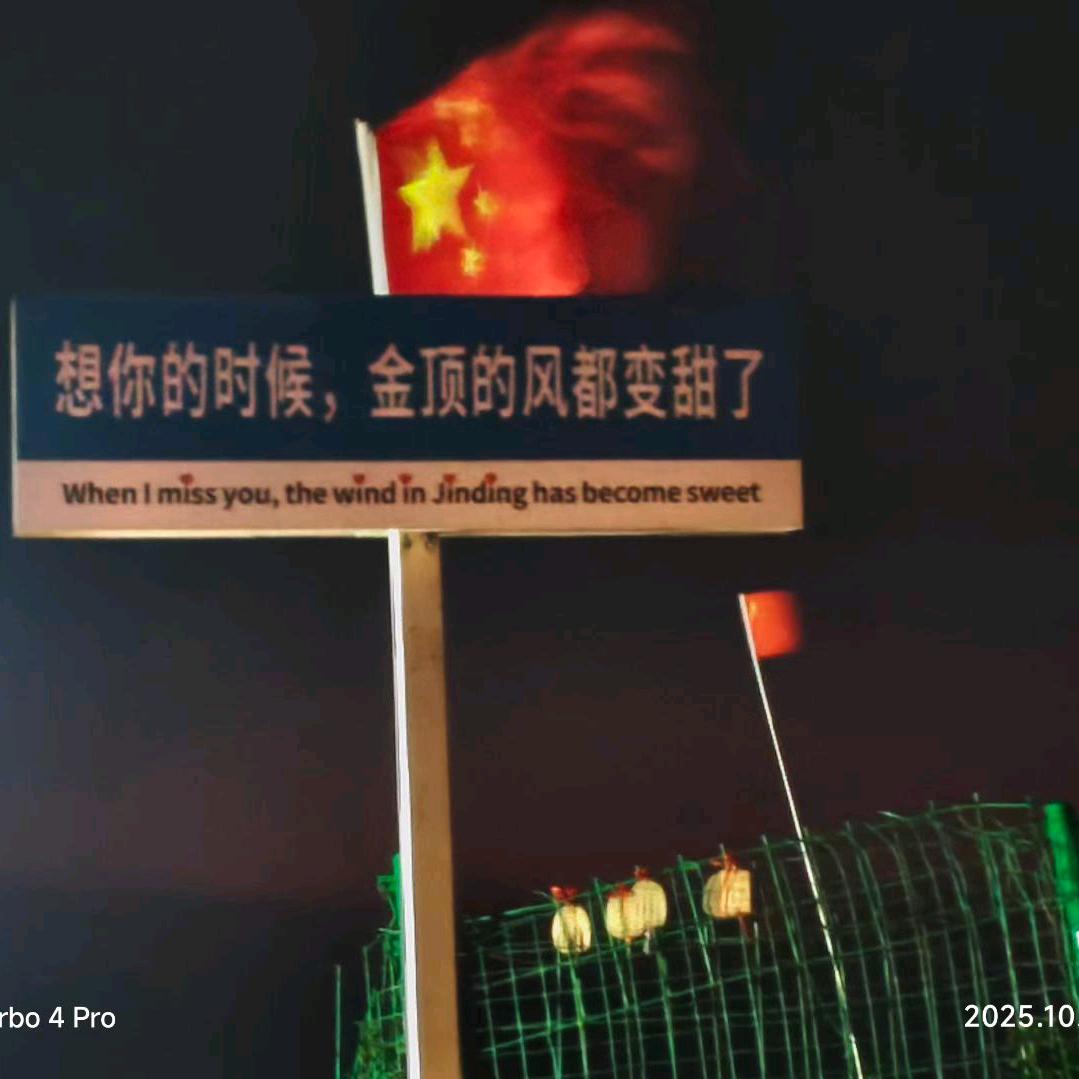鱼