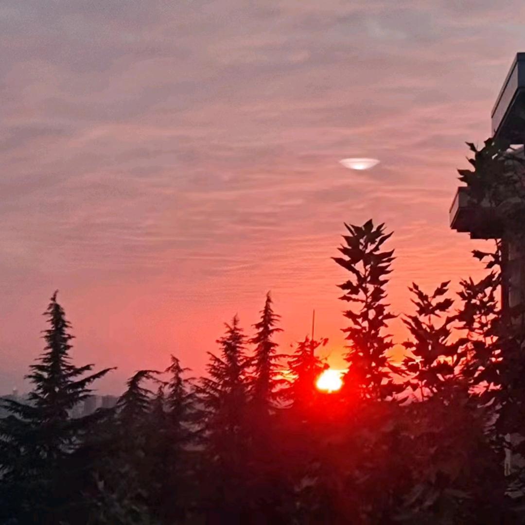 追求幸福_242216998