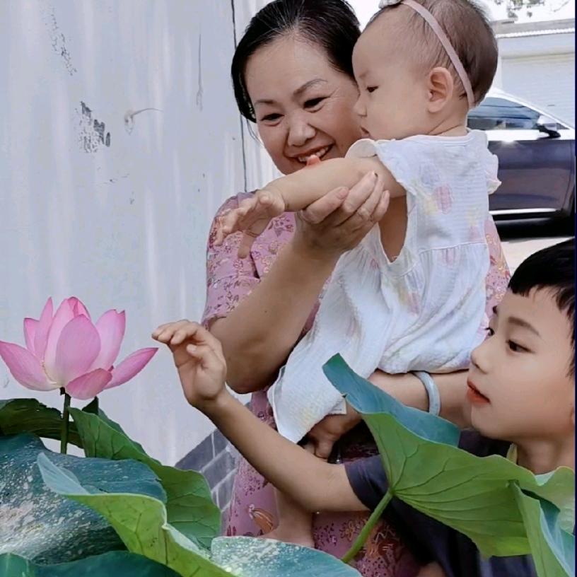 四季露水