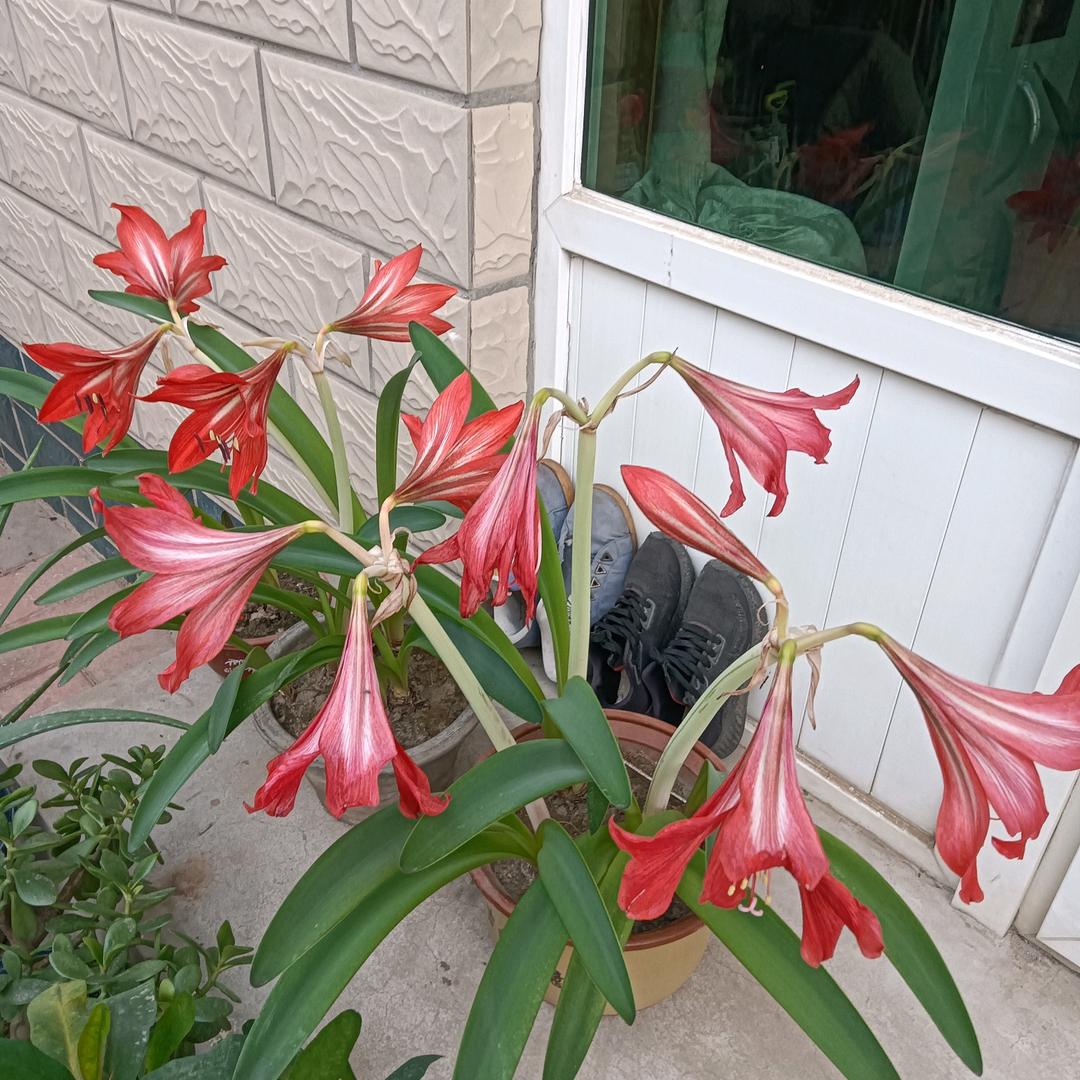 蓝天
