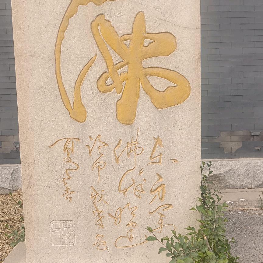 步步生莲