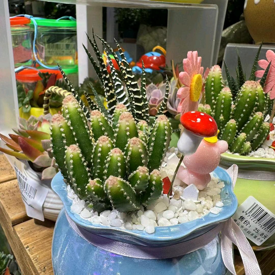 平水 相逢