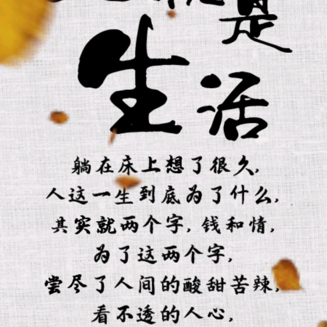 镜头下的小时光