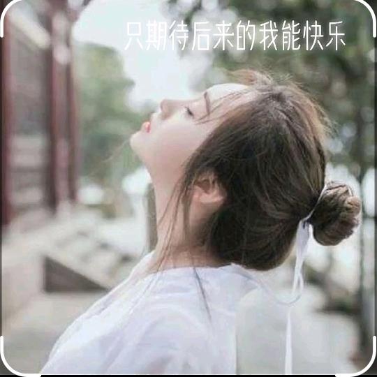 饮湖上初晴后雨
