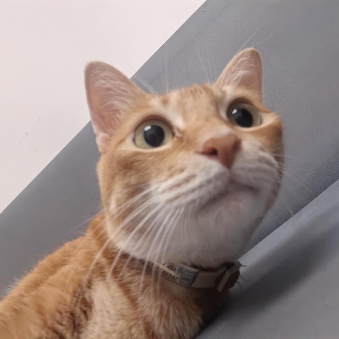 每天都不想上班