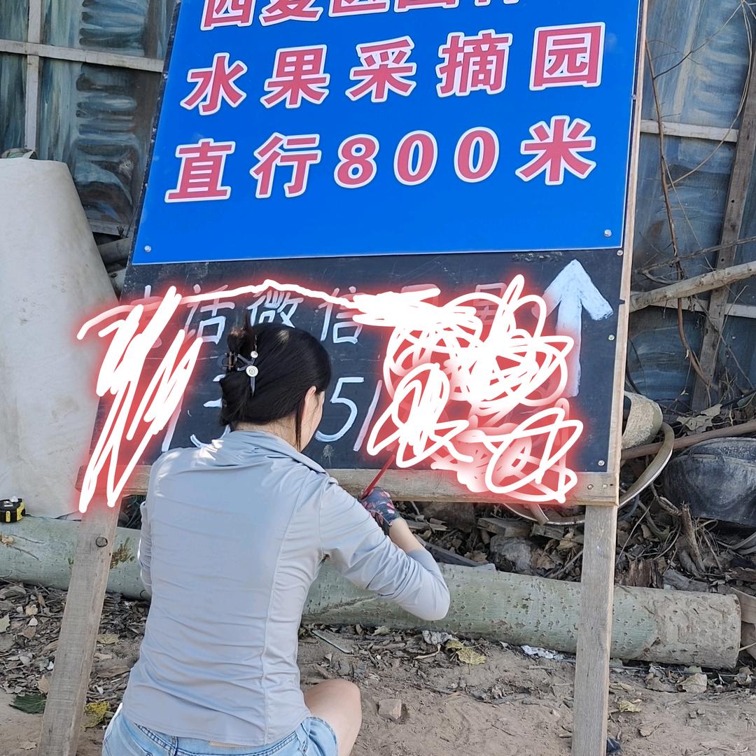 银川市西夏区园林场水果采摘园