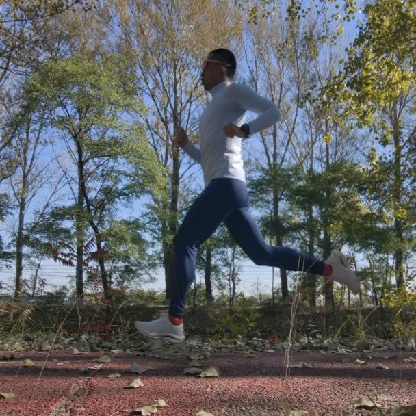 海瑞（记录运动）