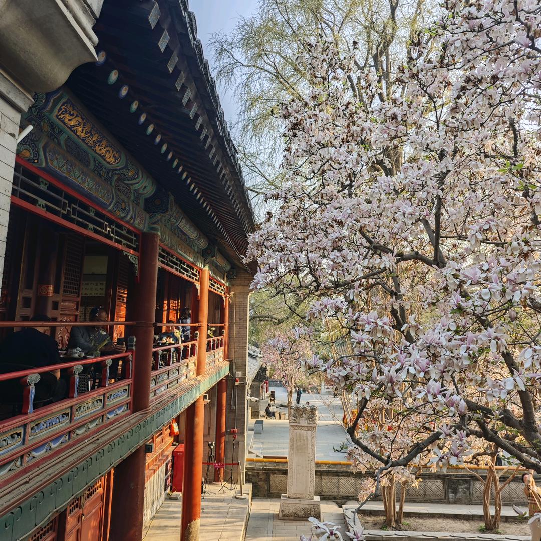 コナン夢、夢の中