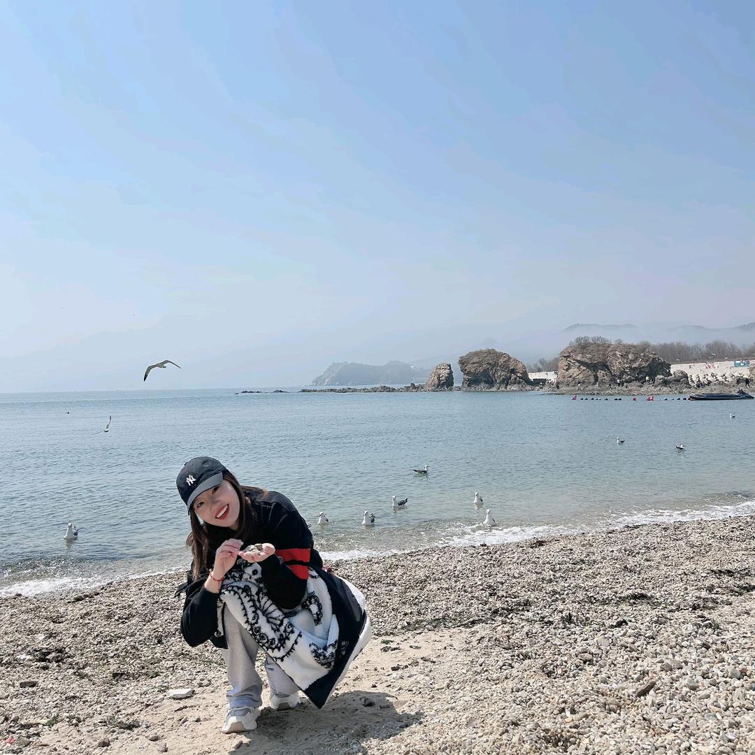 陈.