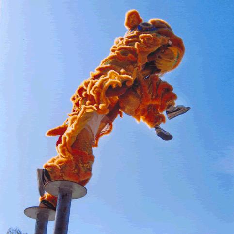 沧州腾龙舞狮团