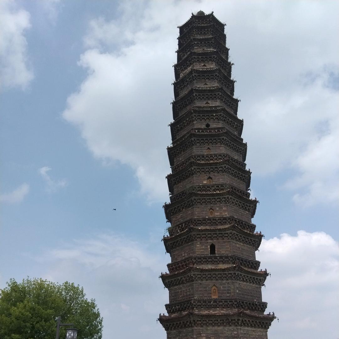 夜猫