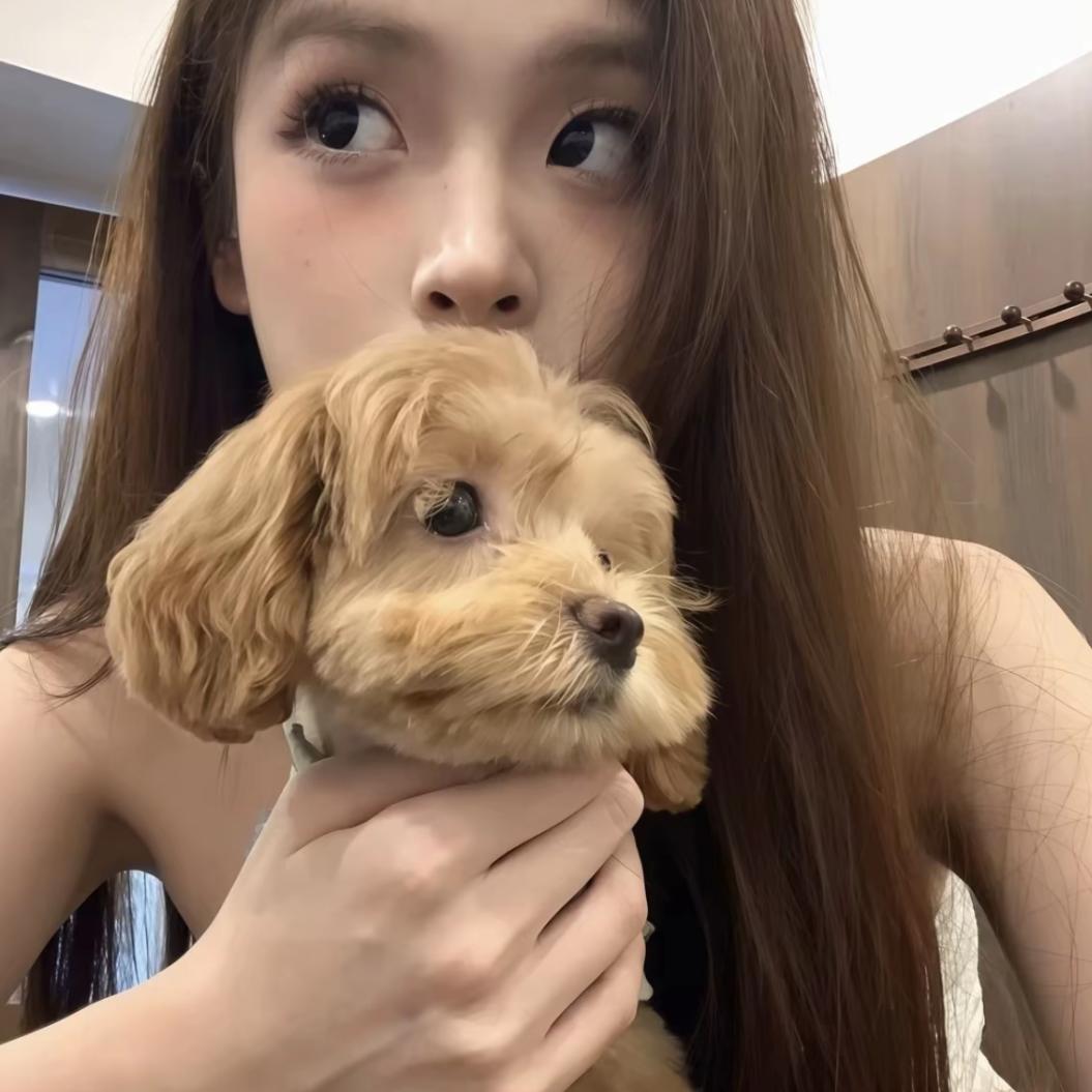 许个愿.