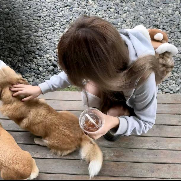 QQ不吃糖