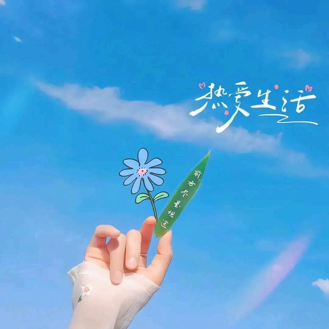 草际鸟行出