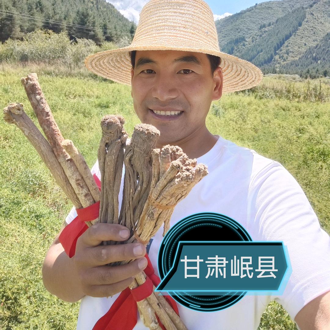 岷县当归党参黄芪一手货源批发零售
