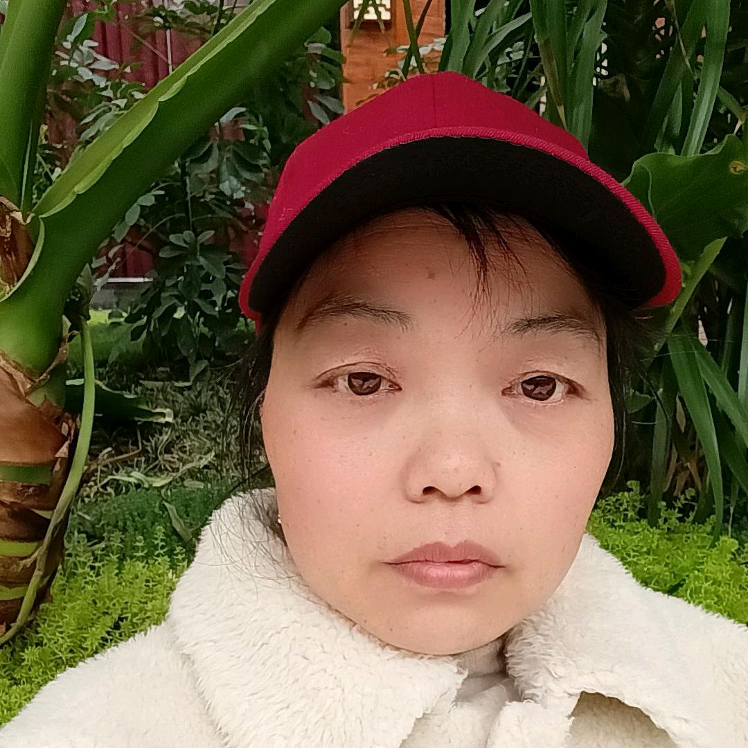 珍珍姐（下午2点30首播）