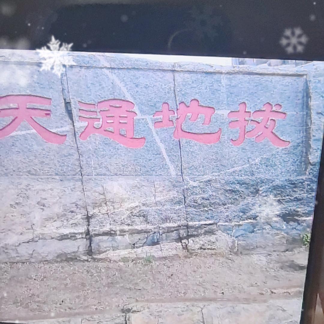 花香蝶自来