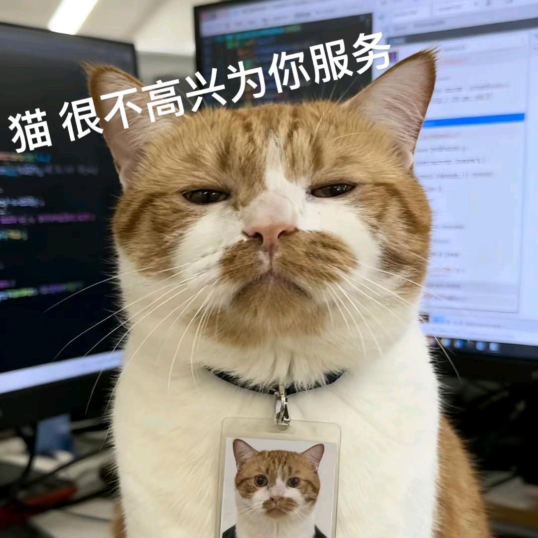 坏，很坏