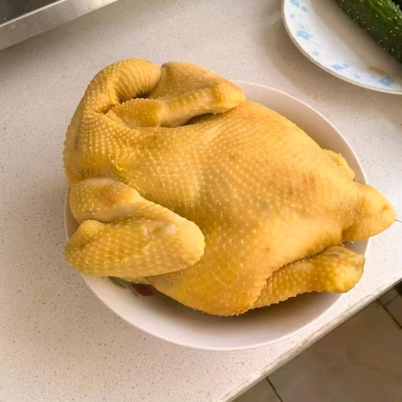 黄油鸡工厂源头厂家