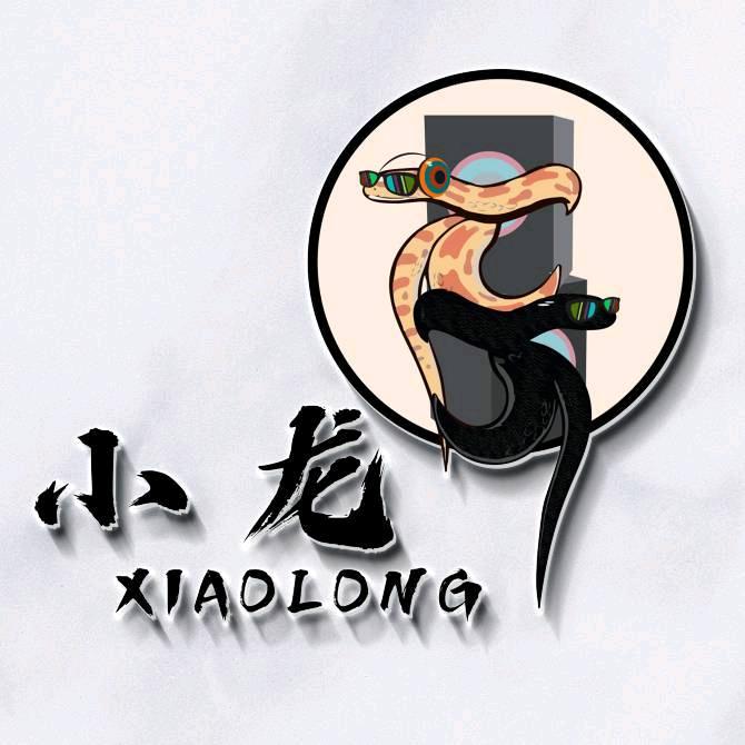 小龙爬宠（2号）