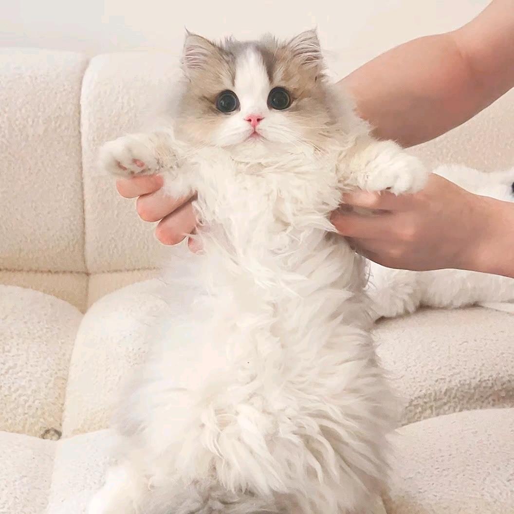零点丶