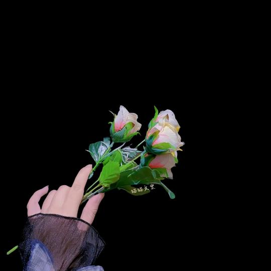 张：Zh·ᰔᩚang⁃͈✧盼