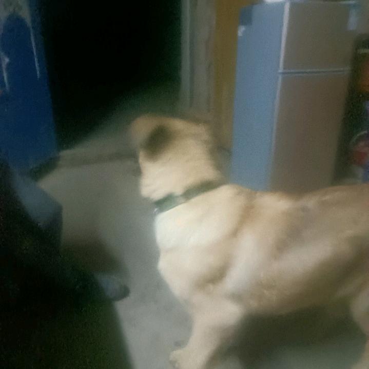 我是谁