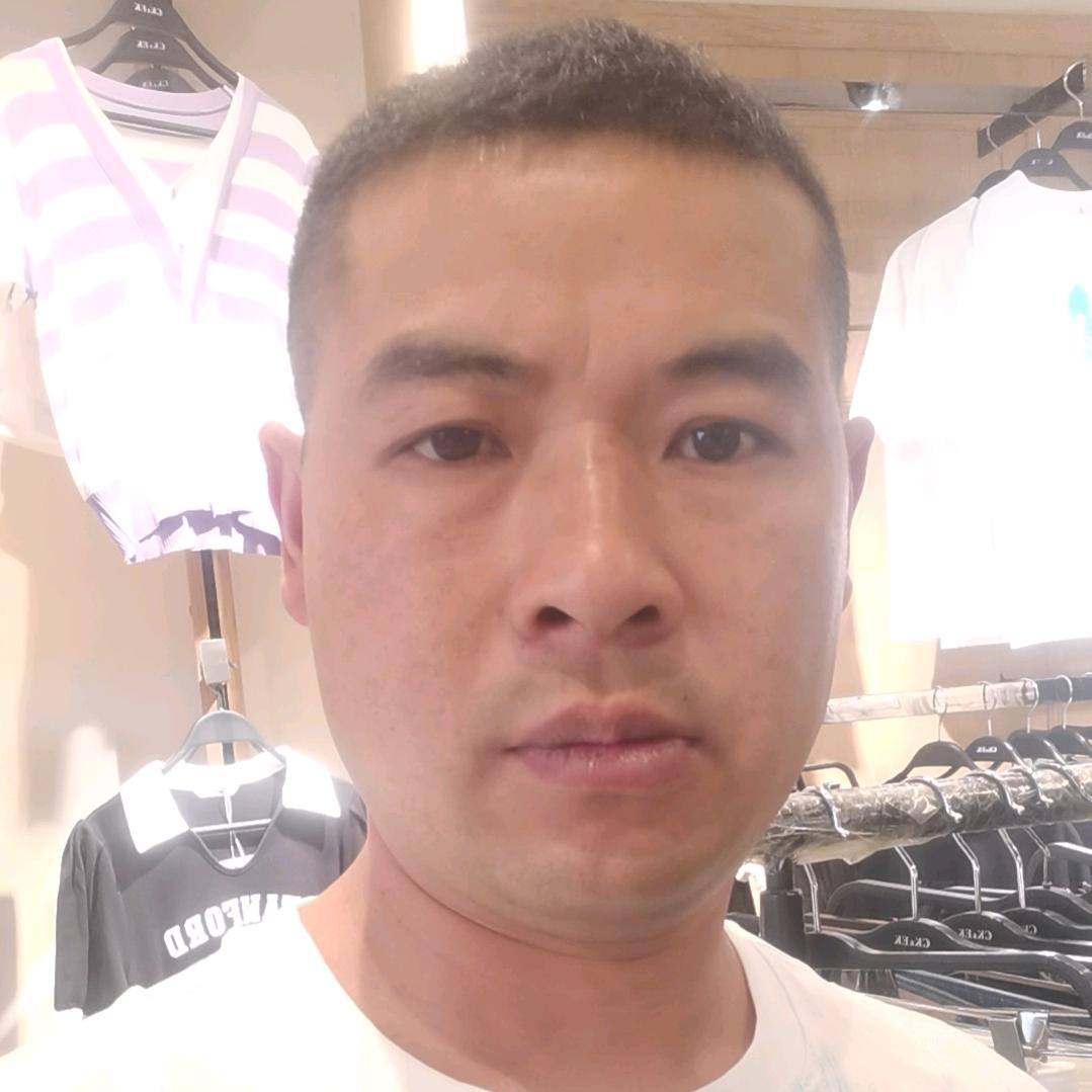 遵义南山犬舍宠物