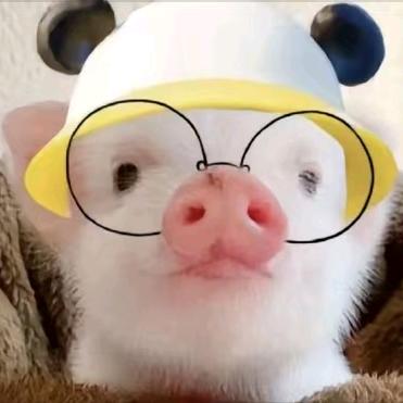 蠢猪？^_^