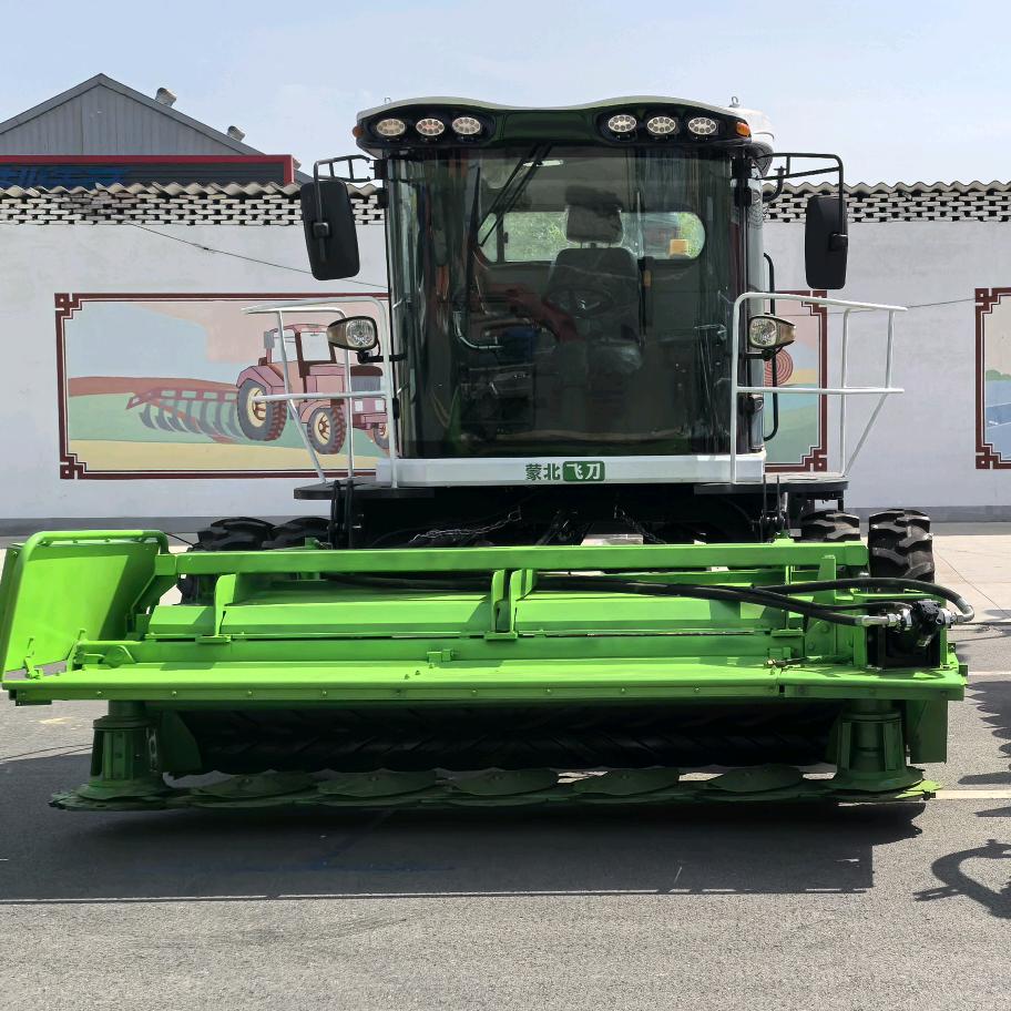 毕宝松·蒙北飞刀