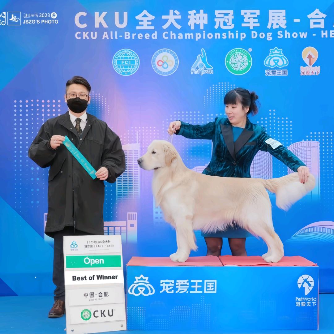 海源犬舍-黑米