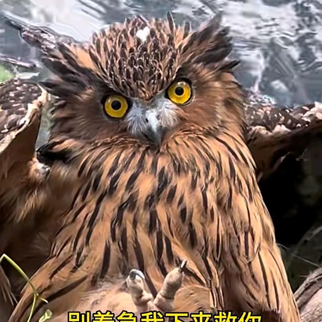 服气