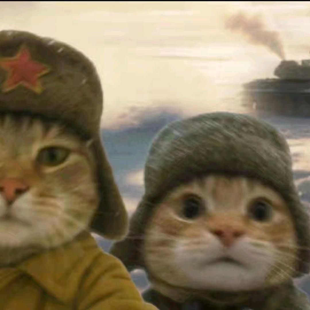 乘风破浪的企鹅