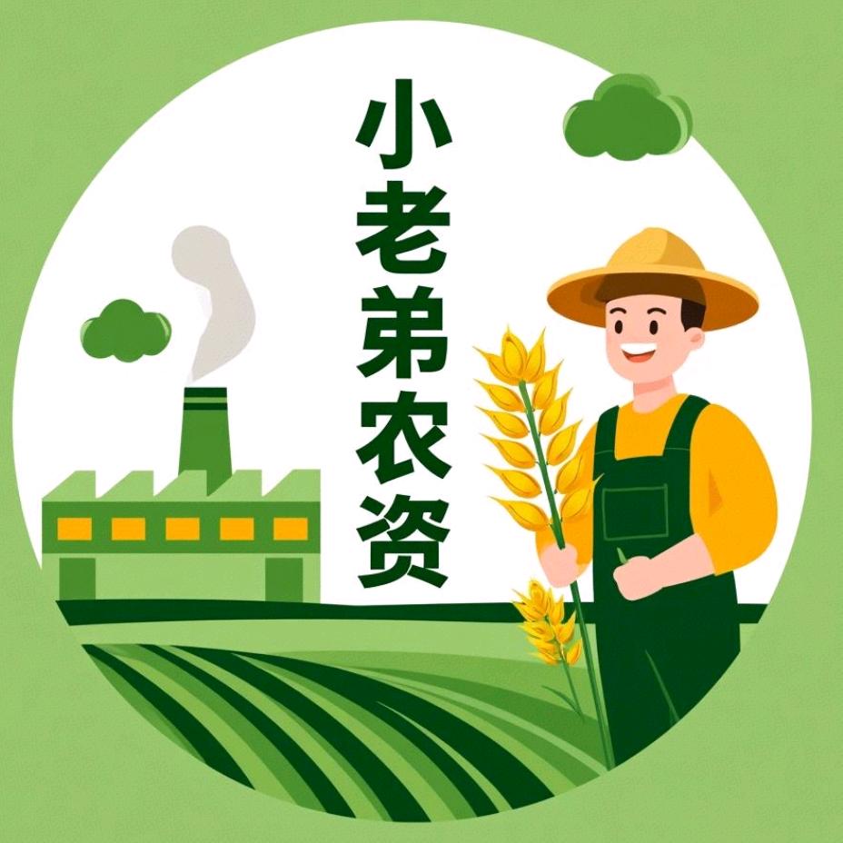 碎银几两
